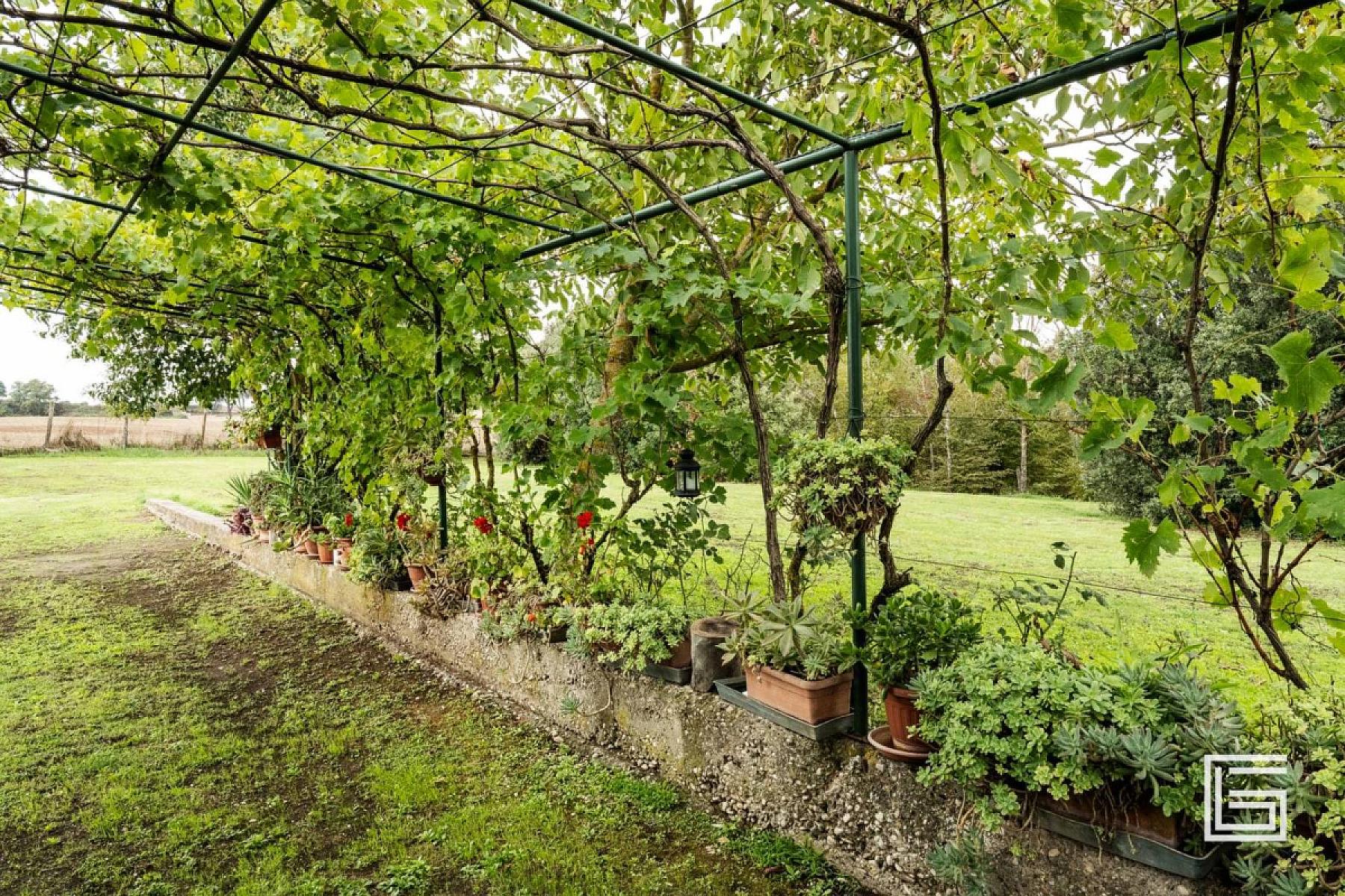 Giardino - Casale - Via Della Giustiniana, Roma 